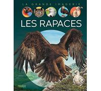 Sabine Boccador – Les rapaces – Document jeunesse – Cartonné