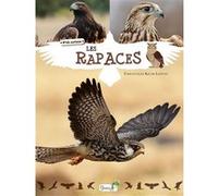Les rapaces Emmanuelle Kecir-Lepetit (Auteur)
