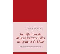 les réflexions de Maheva-les retrouvailles de Lyam et de Liam: jeux de logique, prose et poésie
