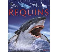 Les requins