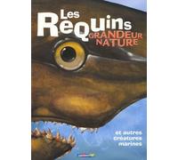 Les requins grandeur nature