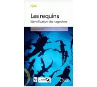 Les Requins - Identification Des Nageoires