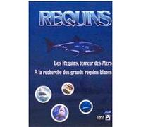 Les requins, terreur des mers - A la recherche des grands requins blancs - Coffret G