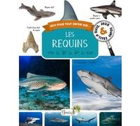 Les requins Virginie Jobe-Truffer (Auteur)