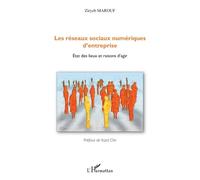 Les Réseaux Sociaux Numériques D'entreprise - Etat Des Lieux Et Raisons D'agir
