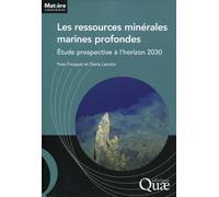 Les ressources minérales marines profondes: Étude prospective à l'horizon 2030.