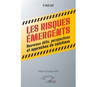 Les risques émergents Nouveaux défis, perspectives et approches de solutions - El Hadj Sall - L'harmattan - broché - Essai