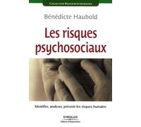 Les risques psychosociaux: Identifier, analyser, prévenir les risques humains