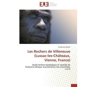Les Rochers De Villeneuve (Lussac-Les-Châteaux, Vienne, France) - Etude Techno-Typologique Et Spatiale De L'industrie Lithique Moustérienne Des Ensembles J Et N