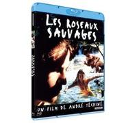 Les Roseaux sauvages – Blu-ray – Studiocanal