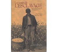 Les routes de l'esclavage: Histoire d'un très grand "dérangement"