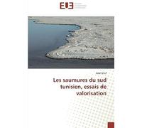 Les Saumures Du Sud Tunisien, Essais De Valorisation