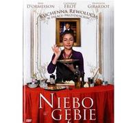 Les saveurs du Palais [DVD] G