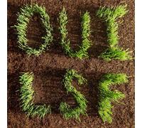 Les Savy Fav - Les Savy Fav - OUI, LSF LP bloodshot