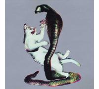 Les Savy Fav - The Cat And The Cobra