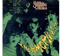 Les Secrétaires Volantes - Thermoplastique