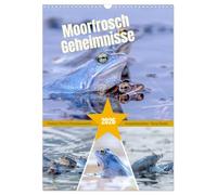 Les secrets de la grenouille des marais - Couleurs, flirts & concerts de grenouilles - Tanja Riedel, Version française (Calendrier mural 2026 DIN A3 portrait), Calendrier CALVENDO mensuel