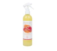 LES SECRETS DE LOLY Spray Cocktail Curl Remedy - 320 ml