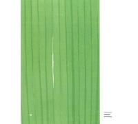 Les Sens Du Beau - Biennale Internationale Design Saint-Etienne 2015