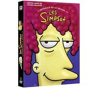 Les Simpson-L'intégrale de la Saison 17 [Coffret Collector-Édition limitée]