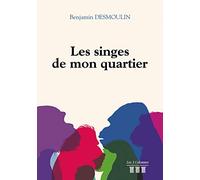 Les singes de mon quartier