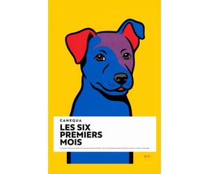 Les Six Premiers Mois: Le protocole naturel pour éduquer son chiot sans laxisme ni punition : survivre aux premières semaines de chaos et construire le chien qu'il deviendra