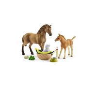 Schleich Horse Club | Les Soins pour bébé Animaux d'Horse Club Sarah 42432