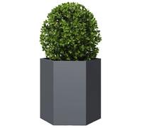 ""Les Soldes""Jardinière(1 pc) Bac de Jardin Décoration Bac à Fleurs anthracite hexagone 46x40x45 cm Acier qvk54l