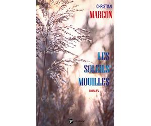 Les Soleils mouillés