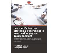 Les spécificités des stratégies d'entrée sur le marché d'un pays en développement: Étude sur les stratégies d'entrée sur le marché de l'industrie légère dans le domaine de l'efficacité énergétique