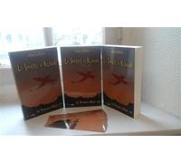 Les spheres de kumari, les puissances de nilgir tome 2 - Anaïs La Porte - Yucca - broché - Roman junior dès 9 ans
