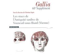 Les Stucs De L'antiquité Tardive De Vouneuil-Sous-Biard (Vienne)