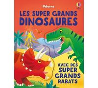 Alice Beecham – Les super grands dinosaures – Dès 3 ans – Cartonné – Usborne