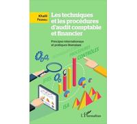 Les techniques et les procédures d'audit comptable et financier