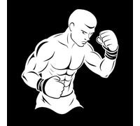 Les titans de la boxe : les histoires de combattants légendaires Stickers muraux en vinyle 67.2x72.6cm Stickers pour vitres Blanc