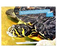 Les tortues à bijoux - des bijoux de la nature, Version française (Calendrier mural 2026 DIN A3 portrait), Calendrier CALVENDO mensuel