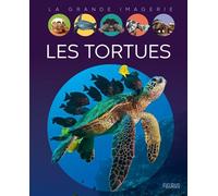Les tortues - Sabine Boccador - Fleurus - cartonné - Document jeunesse