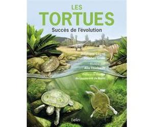 Les Tortues Stéphane Gagno (Auteur), Alix Thiébault (Illustration), France de Lapparent de Broin (Préface), Stephen Giner (Auteur)