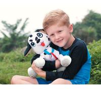 Les Toufous Les Toufous - Dalmatien