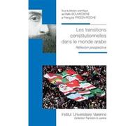 Les transitions constitutionnelles dans le monde arabe BOUMEDIENE M. (Auteur), François Frison-Roche (Auteur)