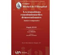 Les transitions constitutionnelles democratisantes Magali Besse (Auteur)
