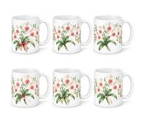 Les trésors d'érable Lot de 6 Mugs Orchidées - La Vanille Est le Fruit d'une Orchidée | Céramique 330 ml | Idée Cadeau Original Famille | Passe au Lave-Vaisselle et au Micro-Ondes | Imprimé en France