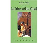 Les Tribus Oubliées D'israël - L'afrique Judéo-Berbère, Des Origines Aux Almohades
