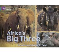 Les trois grands de l'Afrique