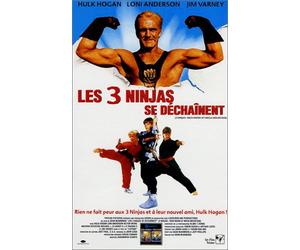Les trois ninjas se dechainent [VHS]