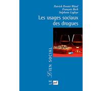 Les usages sociaux des drogues