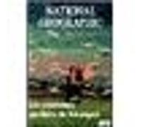 National Geographic – Les Vautours, gardiens du Serengeti – Studiocanal