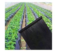 Les végétaux, Paillis noir for désherbage agricole, largeur 0,8 m, épaisseur 0,01 mm, film plastique spécial for serres potagères et fraises, films de culture for plantes(0.8mx100m)