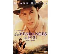 Fox DVD Les Vendanges de feu