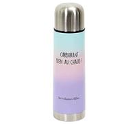 Les Vilaines Filles 41-VF-026 Bouteille isotherme de transport Thermos Carburant bien au chaud Bleu turquoise rose violet et gris Acier inoxydable et silicone D7 x H24 cm